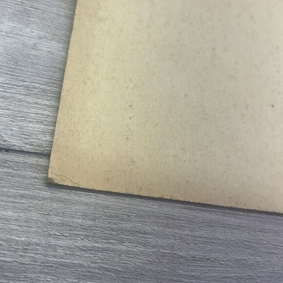 Tuxedo Black White Cat Green Ribbon 8x10 RF Harnett Litho in USA - Picture 8 of 12